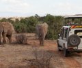 kenia-2014-064 kenia-2014-064