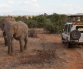 kenia-2014-066 kenia-2014-066