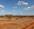 kenia-2014-068 kenia-2014-068