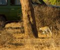 kenia-2014-074 kenia-2014-074