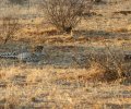 kenia-2014-079 kenia-2014-079