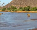 kenia-2014-089 kenia-2014-089