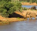 kenia-2014-091 kenia-2014-091