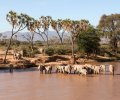 kenia-2014-092 kenia-2014-092