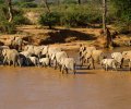 kenia-2014-093 kenia-2014-093