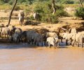 kenia-2014-094 kenia-2014-094