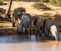 kenia-2014-095 kenia-2014-095
