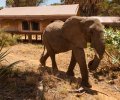 kenia-2014-097 kenia-2014-097