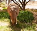 kenia-2014-099 kenia-2014-099