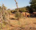 kenia-2014-104 kenia-2014-104