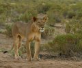 kenia-2014-106 kenia-2014-106