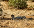kenia-2014-115 kenia-2014-115