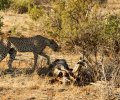 kenia-2014-117 kenia-2014-117