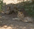 kenia-2014-120 kenia-2014-120