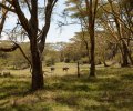 kenia-2014-123 kenia-2014-123