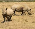 kenia-2014-126 kenia-2014-126