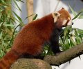 zoo duisburg 2022 zoo duisburg 2022