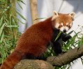 zoo duisburg 2022 zoo duisburg 2022