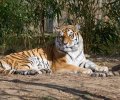 zoo duisburg 2022 zoo duisburg 2022