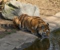 zoo duisburg 2022 zoo duisburg 2022