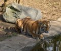 zoo duisburg 2022 zoo duisburg 2022