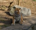 zoo duisburg 2022 zoo duisburg 2022
