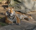zoo duisburg 2022 zoo duisburg 2022