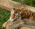zoo duisburg 2022 zoo duisburg 2022