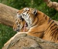 zoo duisburg 2022 zoo duisburg 2022