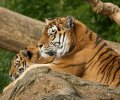 zoo duisburg 2022 zoo duisburg 2022