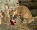 zoo duisburg 2022 zoo duisburg 2022
