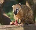 zoo duisburg 2022 zoo duisburg 2022