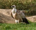 zoo duisburg 2022 zoo duisburg 2022