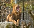 zoo duisburg 2022 zoo duisburg 2022