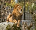zoo duisburg 2022