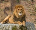 zoo duisburg 2022 zoo duisburg 2022