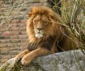 zoo duisburg 2022 zoo duisburg 2022
