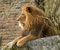zoo duisburg 2022 zoo duisburg 2022