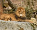 zoo duisburg 2022 zoo duisburg 2022