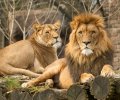 zoo duisburg 2022 zoo duisburg 2022