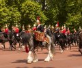 London-2015-035 London-2015-035