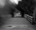 lensbaby