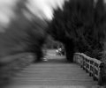 lensbaby