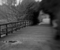 lensbaby