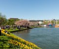 Norwegen-2018-245 Norwegen-2018-245