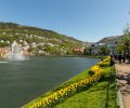Norwegen-2018-246 Norwegen-2018-246