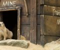 wildpark frankenhof 2019 wildpark frankenhof 2019