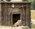 wildpark frankenhof 2019 wildpark frankenhof 2019