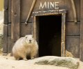 wildpark frankenhof 2019 wildpark frankenhof 2019