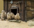 wildpark frankenhof 2019 wildpark frankenhof 2019